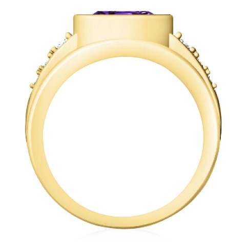https://goldiam.co.il/sites/default/files/T5130F_yellowgold_purple%20%28%D7%A7%D7%98%D7%9F%29.jpg